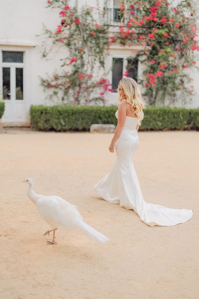 Wedding at Vandelli Botanical Garden in Lisbon